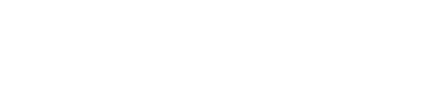 iBearFix